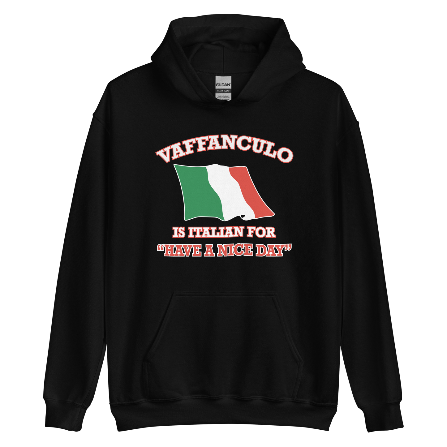 Vaffanculo Is Italian For 'Have a Nice Day' Humor Hoodie- Vintage Hoodie for Italians