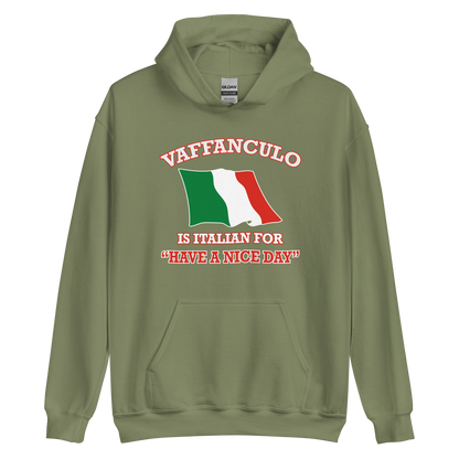 Vaffanculo Is Italian For 'Have a Nice Day' Humor Hoodie- Vintage Hoodie for Italians